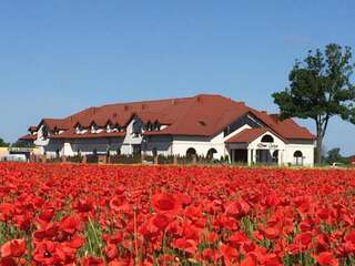 Отель Hotel Dwór Galicja Сталёва-Воля-1